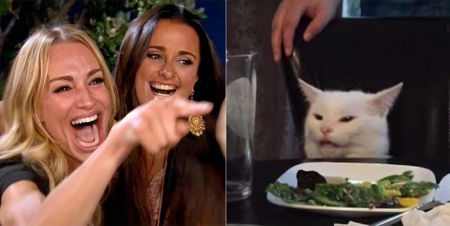 Woman Laughing at a Cat meme template blank