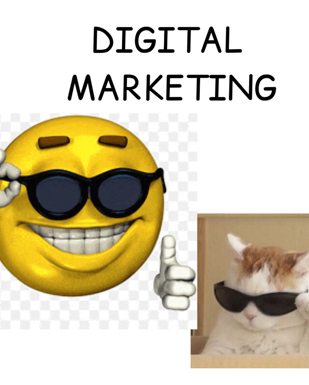 I’ve started a marketing company!!! Please give it a follow and if you’re meme template blank - Green Screen format