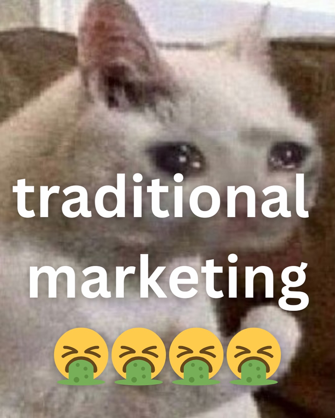 I’ve started a marketing company!!! Please give it a follow and if you’re meme template blank - Green Screen format