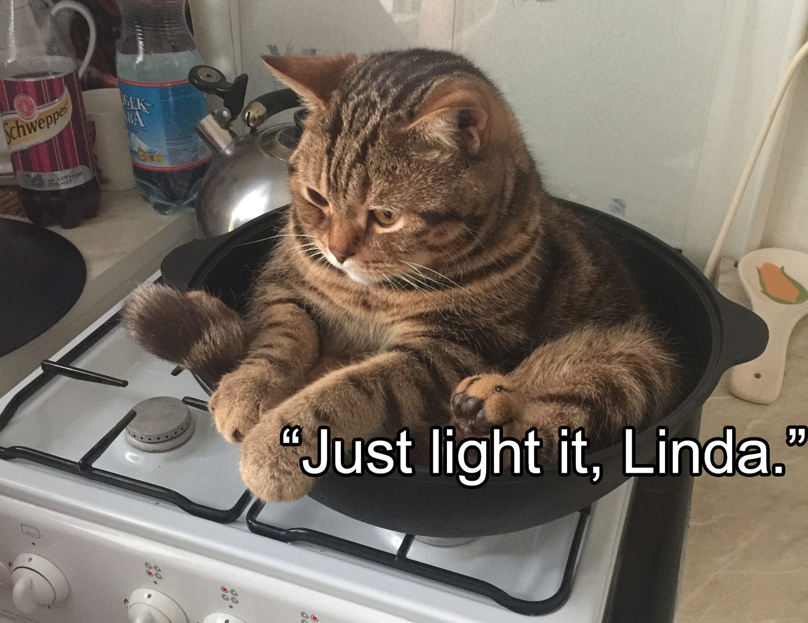Just Light It, Linda meme template blank - image format