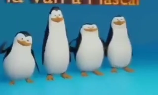 Kawasaki, Cago, Krico y Estriper meme template blank