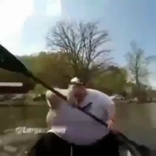 Kayak Capsizing into Monkey meme template blank