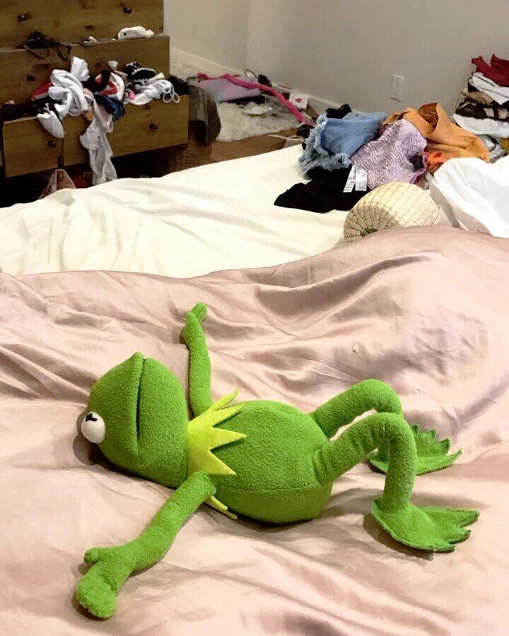 Kermit on a Bed meme template blank