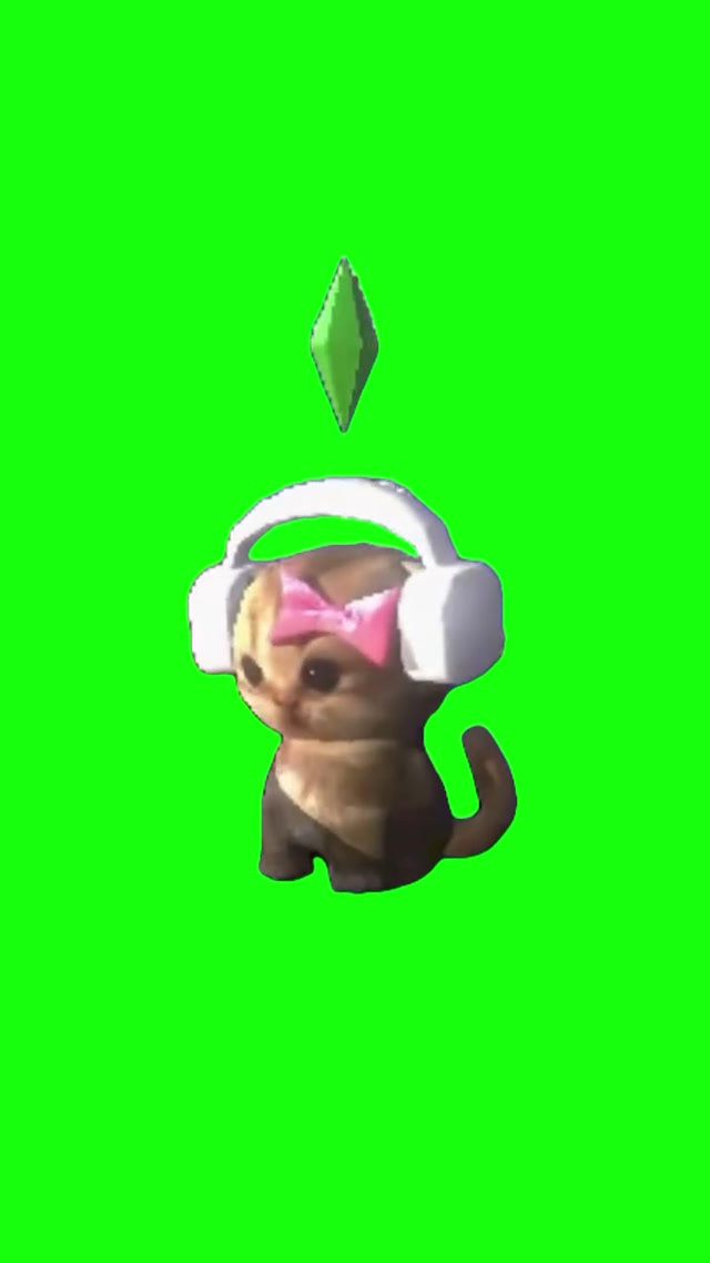 Kitten Vibing meme template blank