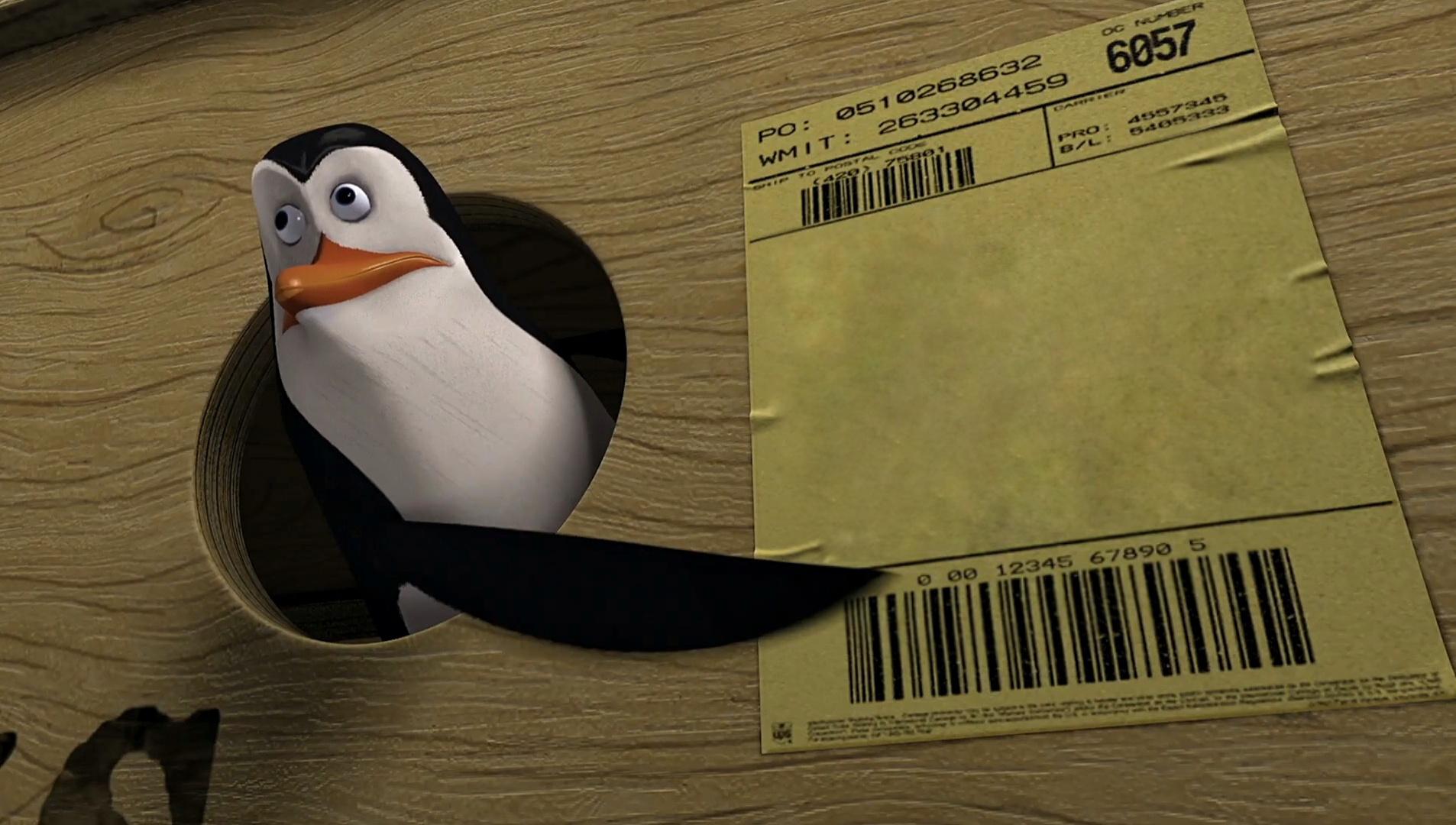 Kowalski Pointing meme template blank