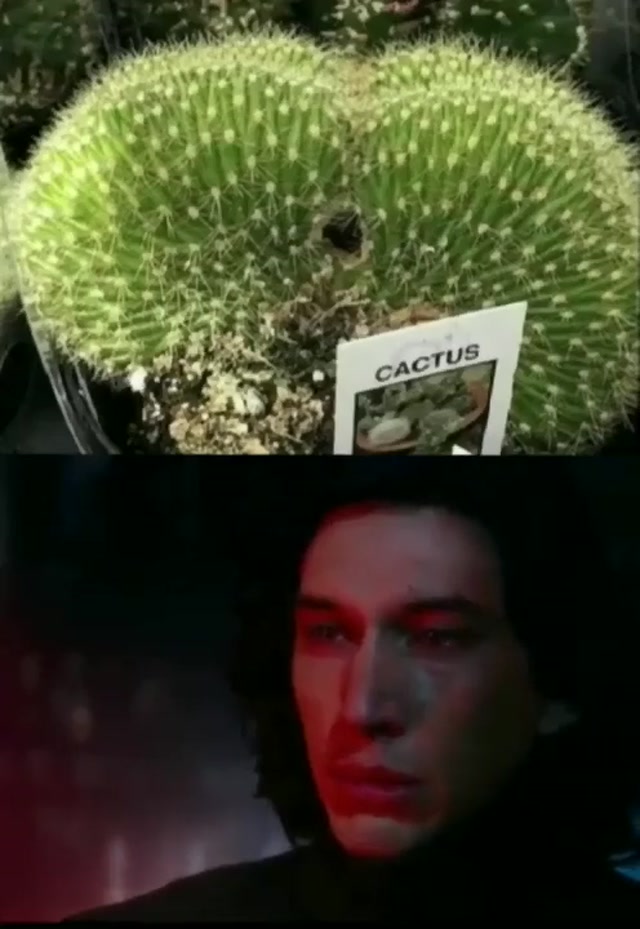 Kylo Ren Cactus Dilemma meme template blank