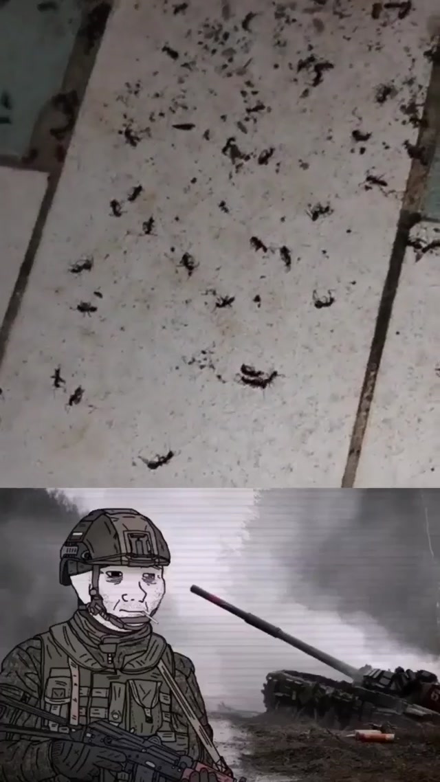 Lone Survivor Ant meme template blank