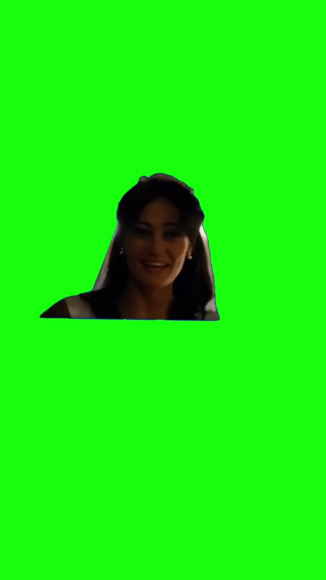 Lucy’s “Okey Dokey” – Fallout meme template blank