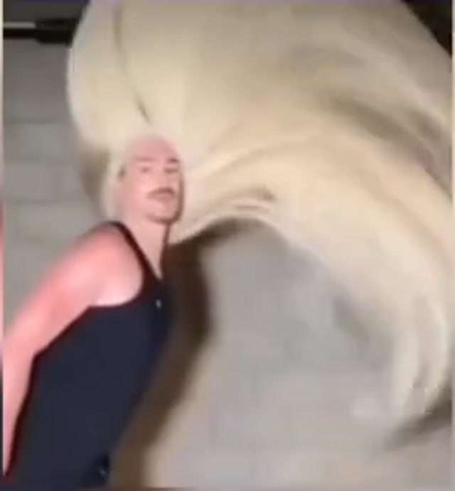 Majestic Blonde Hair Flip meme template blank