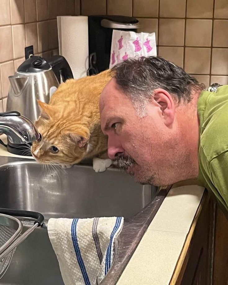 Man and Cat Staring at Faucet meme template blank - image format