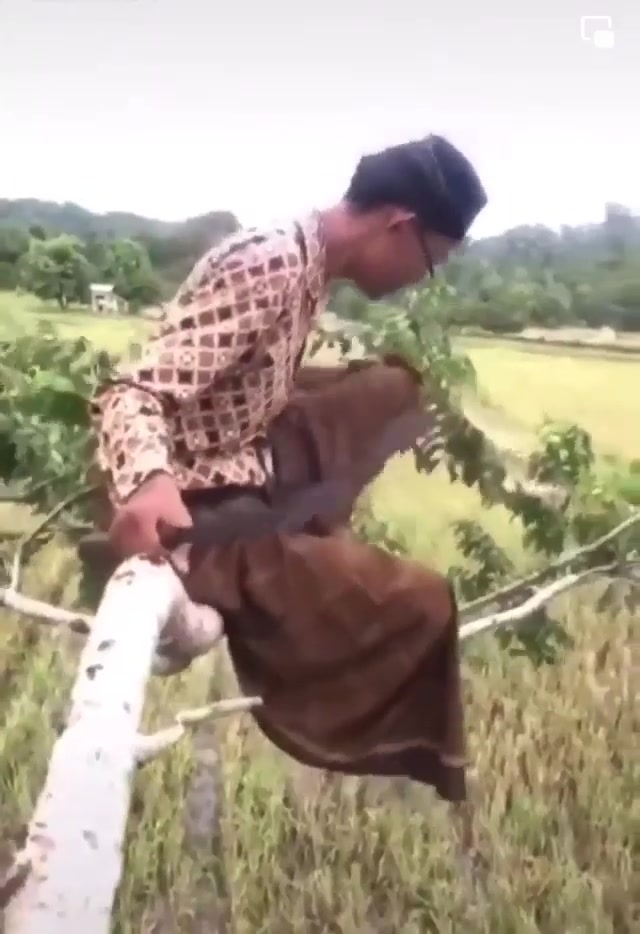 Man Cutting the Branch He's Sitting On meme template blank