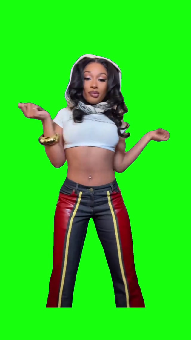 Megan Thee Stallion Dancing to Mamushi meme template blank