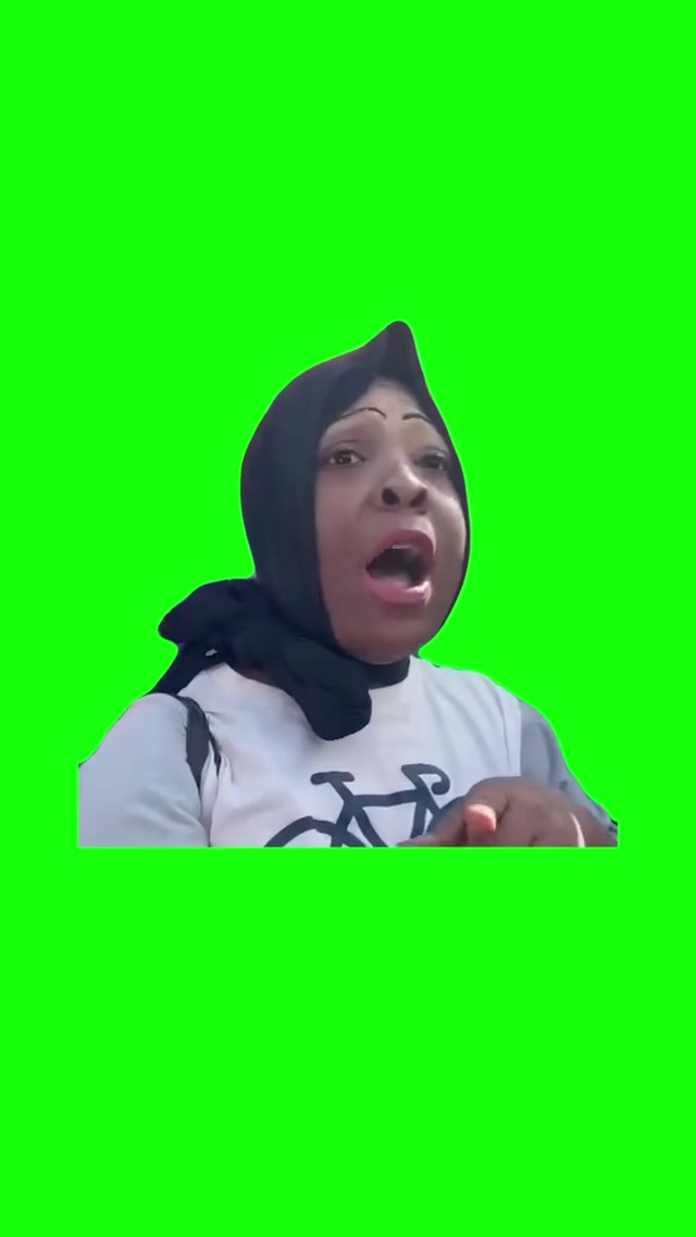 “Mind My Business” American Woman in Pakistan meme template blank