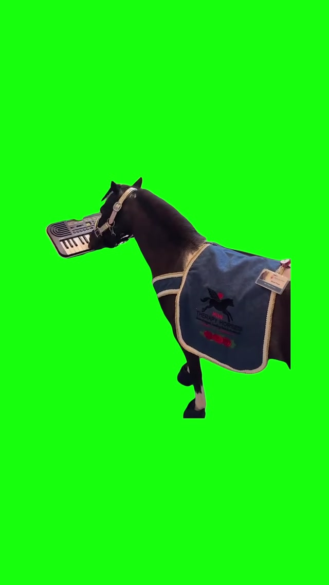 Mini Therapy Horse Playing The Piano meme template blank
