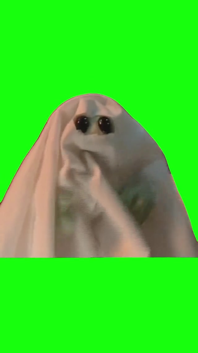 Mona Jump Scare meme template blank