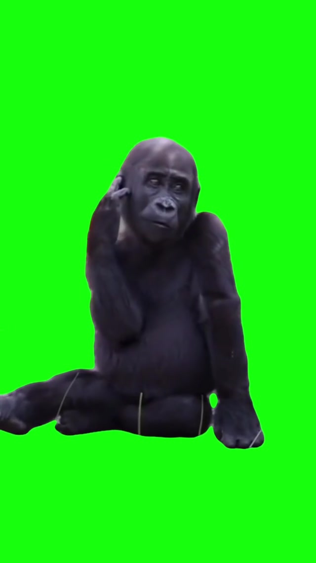 Monkey Feeling Themself meme template blank