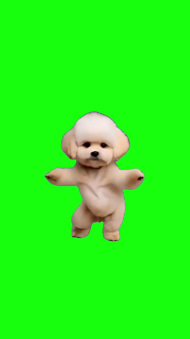 Motorcycle Dog meme template blank