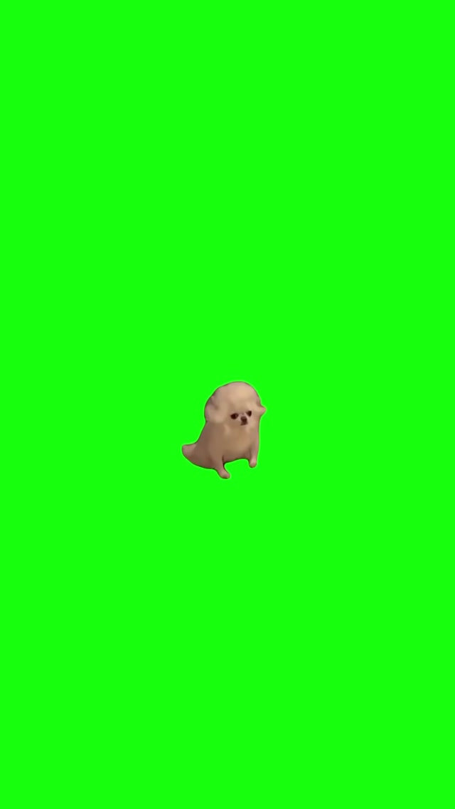 Mozart Dog meme template blank