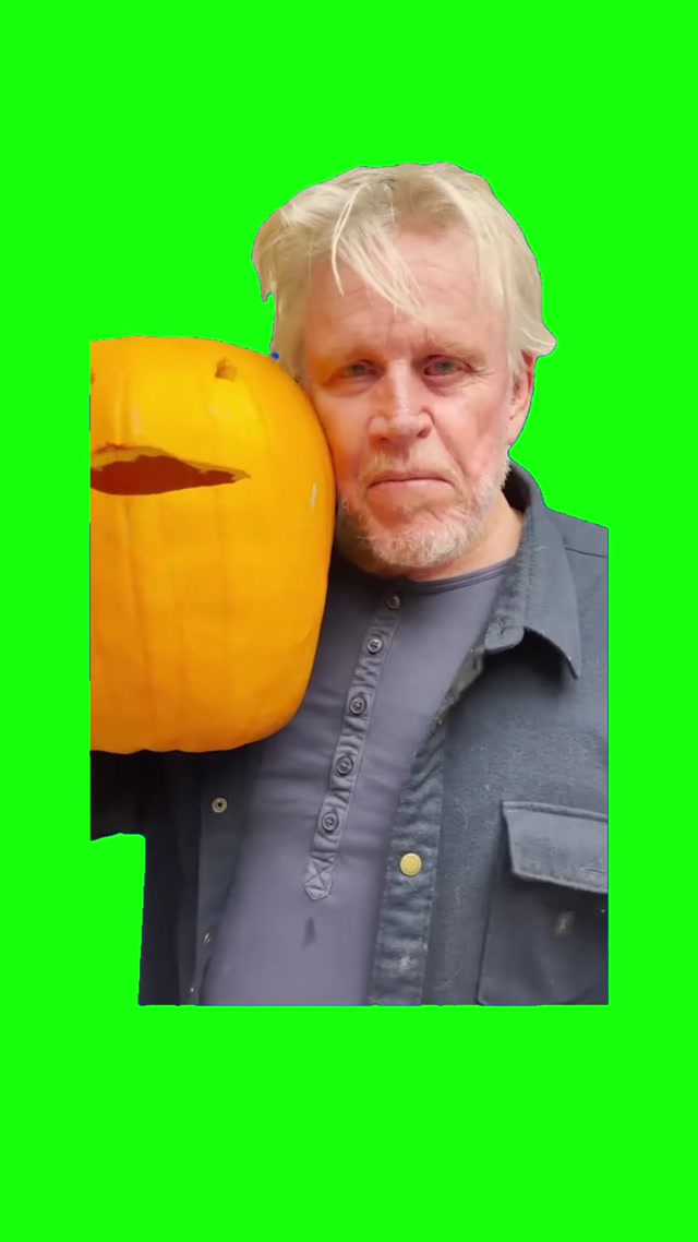 Mr. Pumpkin Head Gary Busey meme template blank
