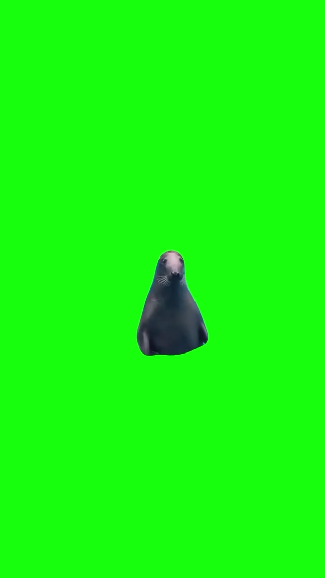 Nervous Seal meme template blank