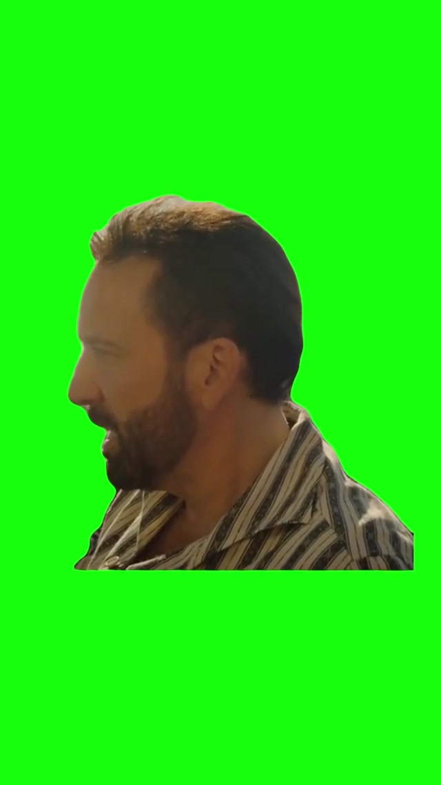 Nicolas Cage and Pedro Pascal Car Meme meme template blank