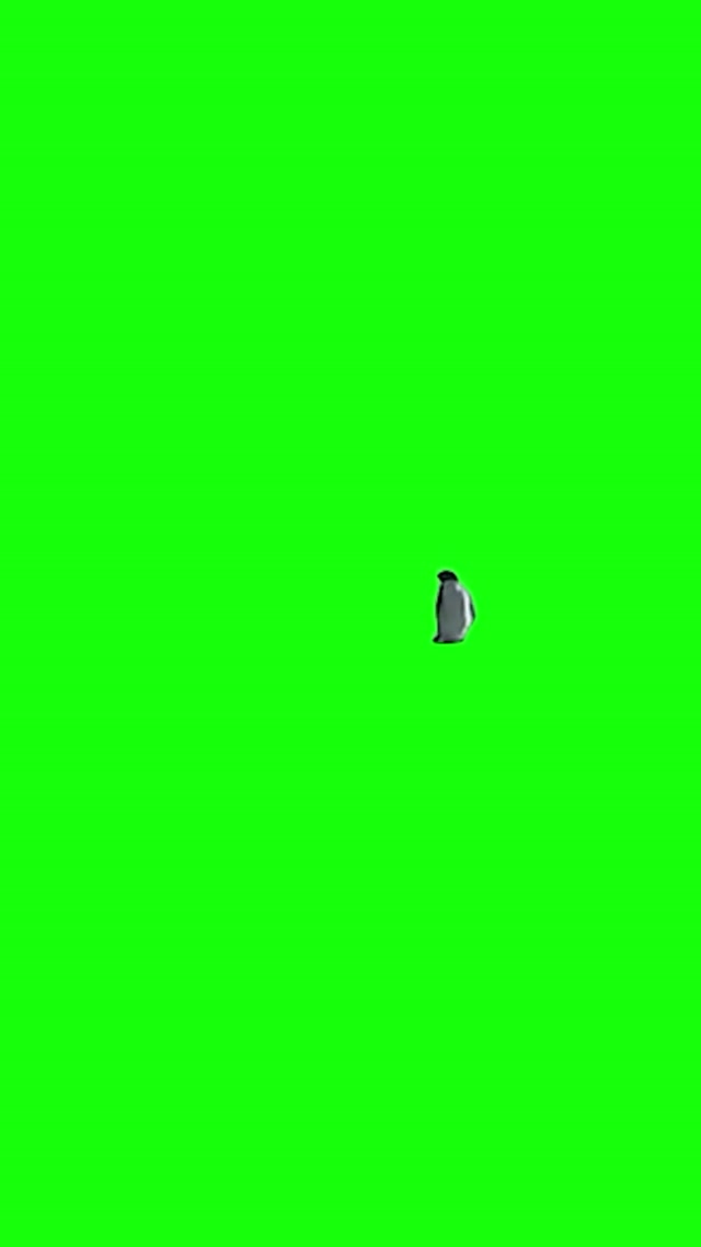 Nihilist Penguin meme template blank