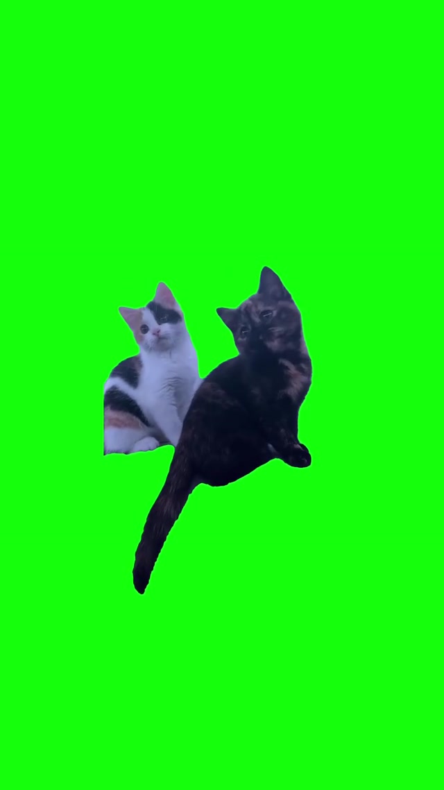 Ohooooooho meme template blank