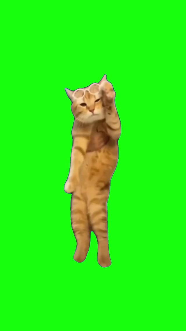 Orange Cat With Glasses Dancing meme template blank