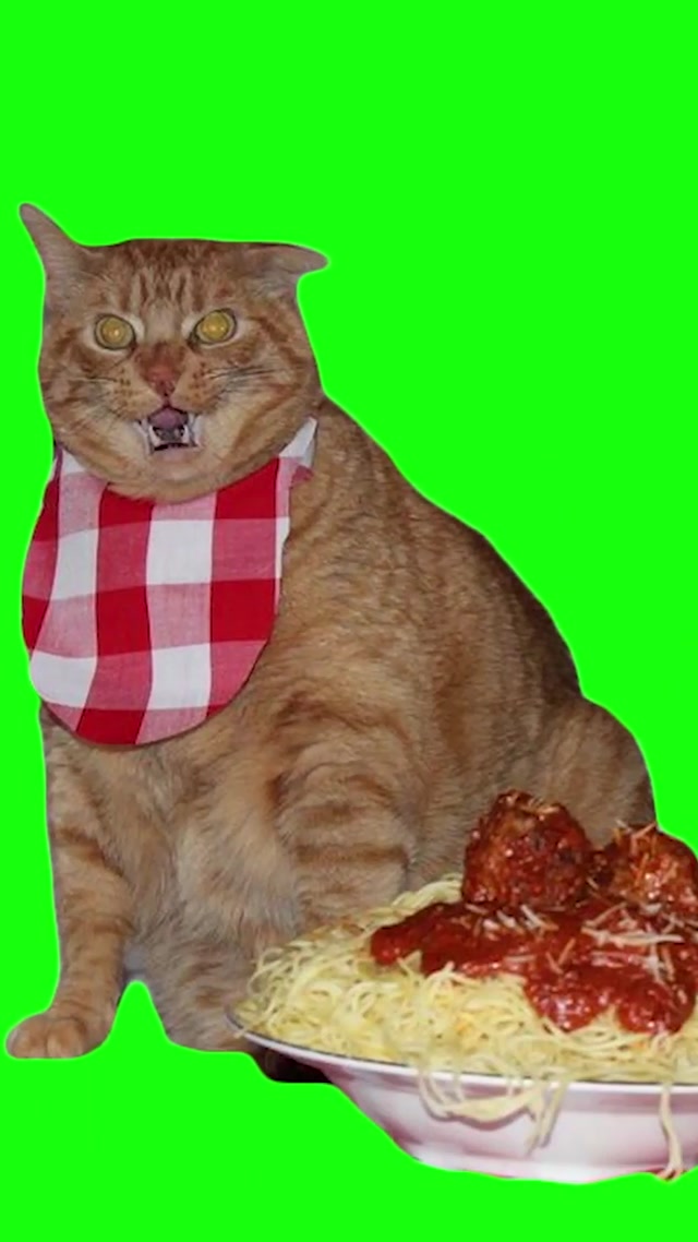 Pastacat48 Green Screen meme template blank