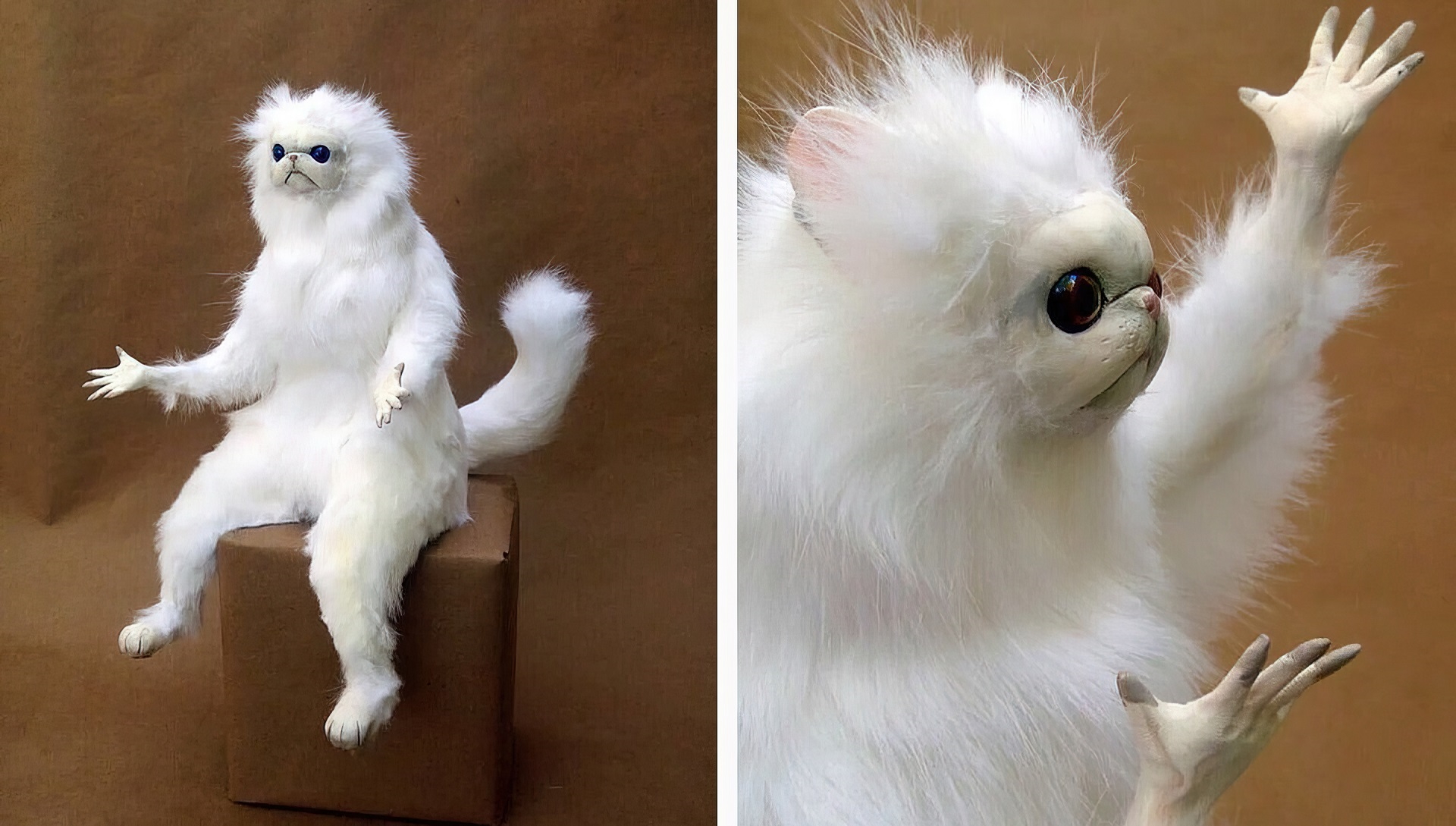 Persian Cat Room Guardian meme template blank - image format