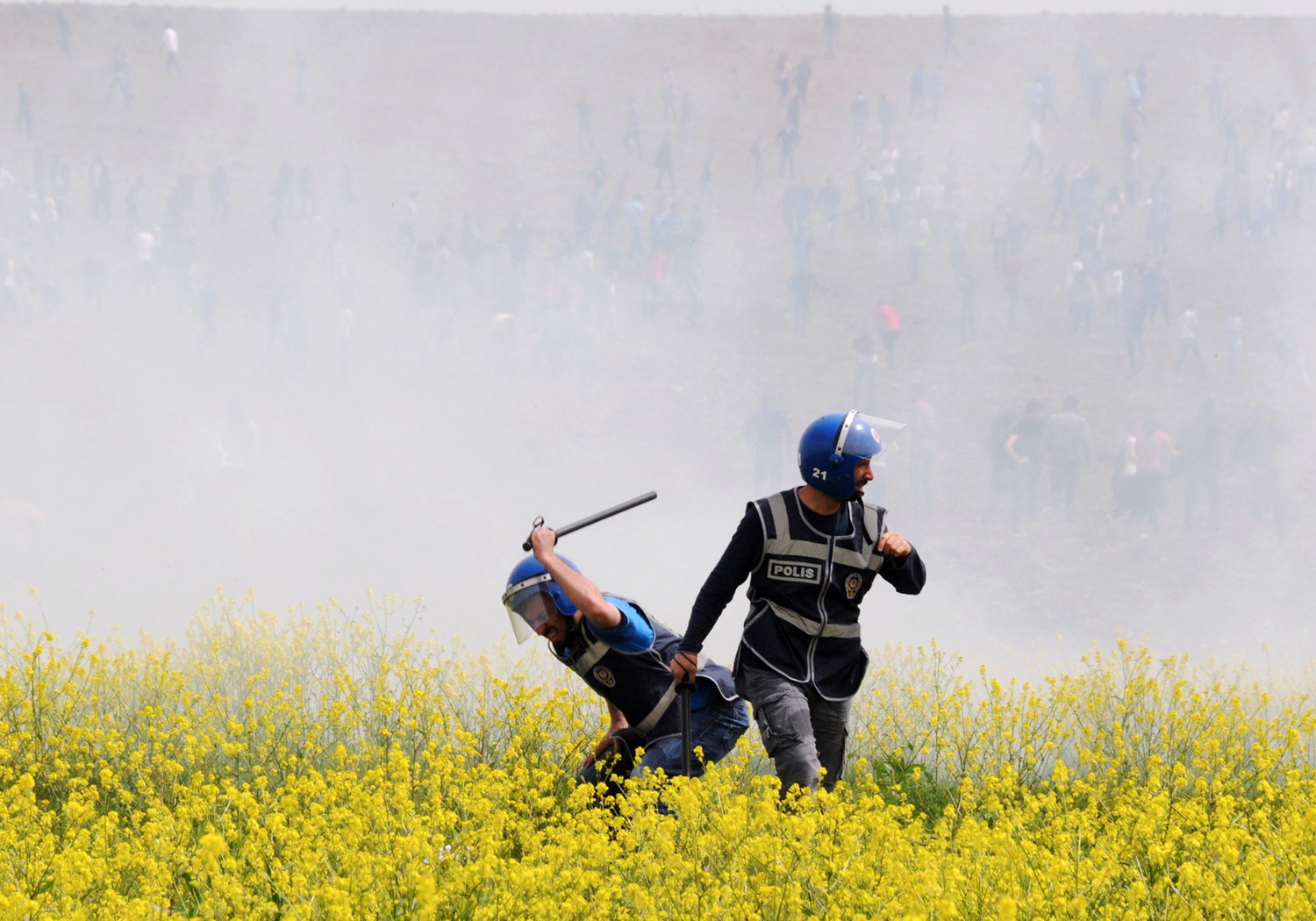 Police in a Field of Flowers meme template blank - image format