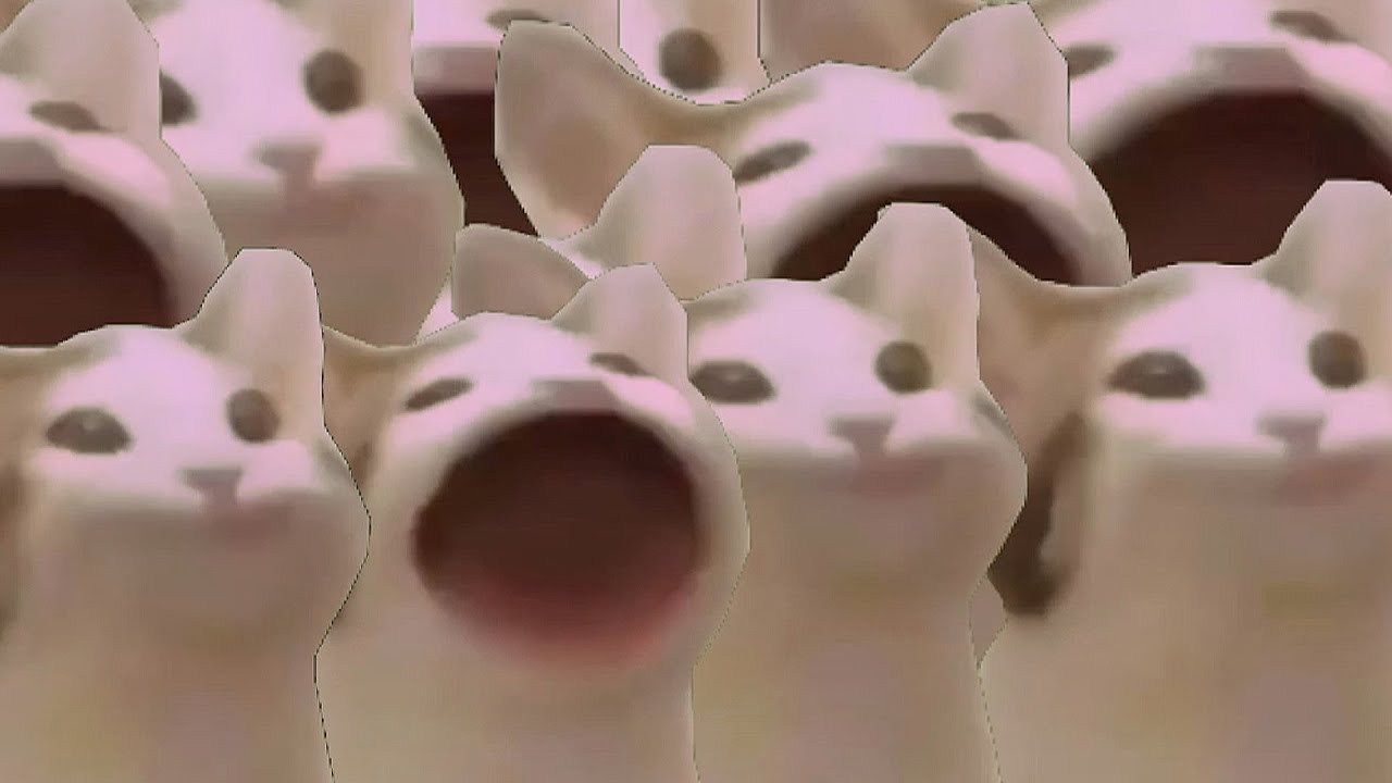 Pop Cat Army meme template blank