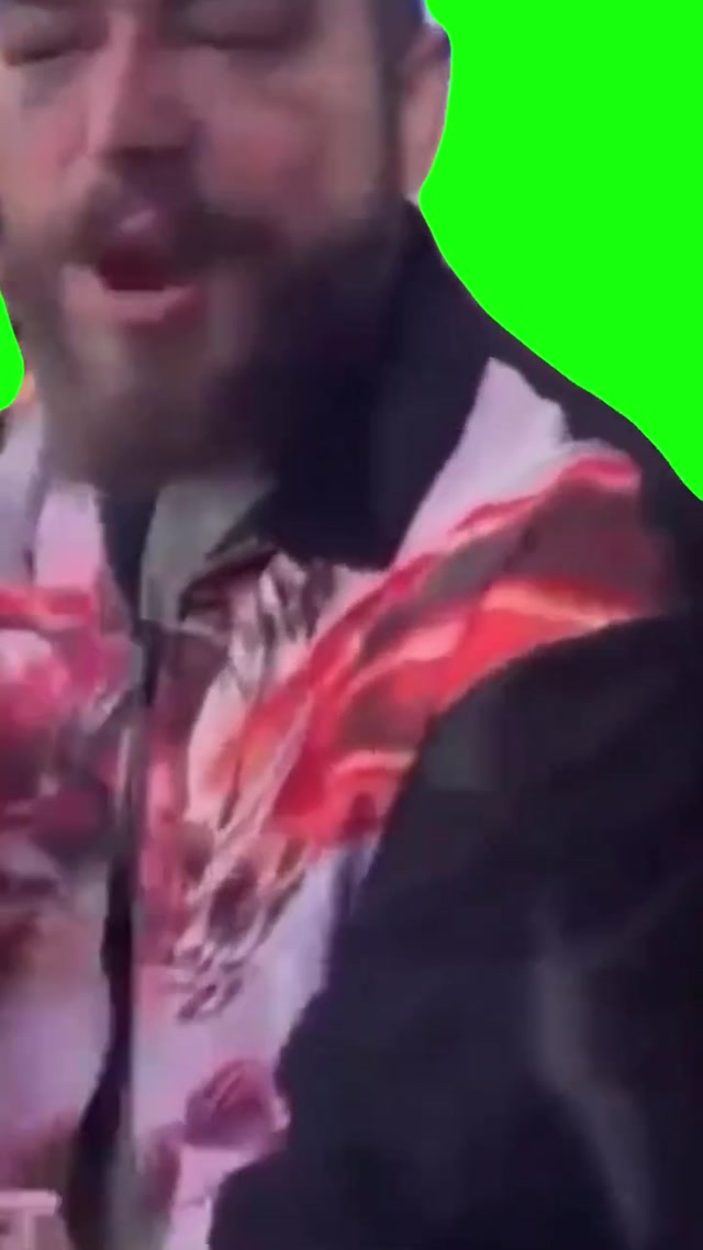 Post Malone Being Told “You a Bi***, You Suck meme template blank