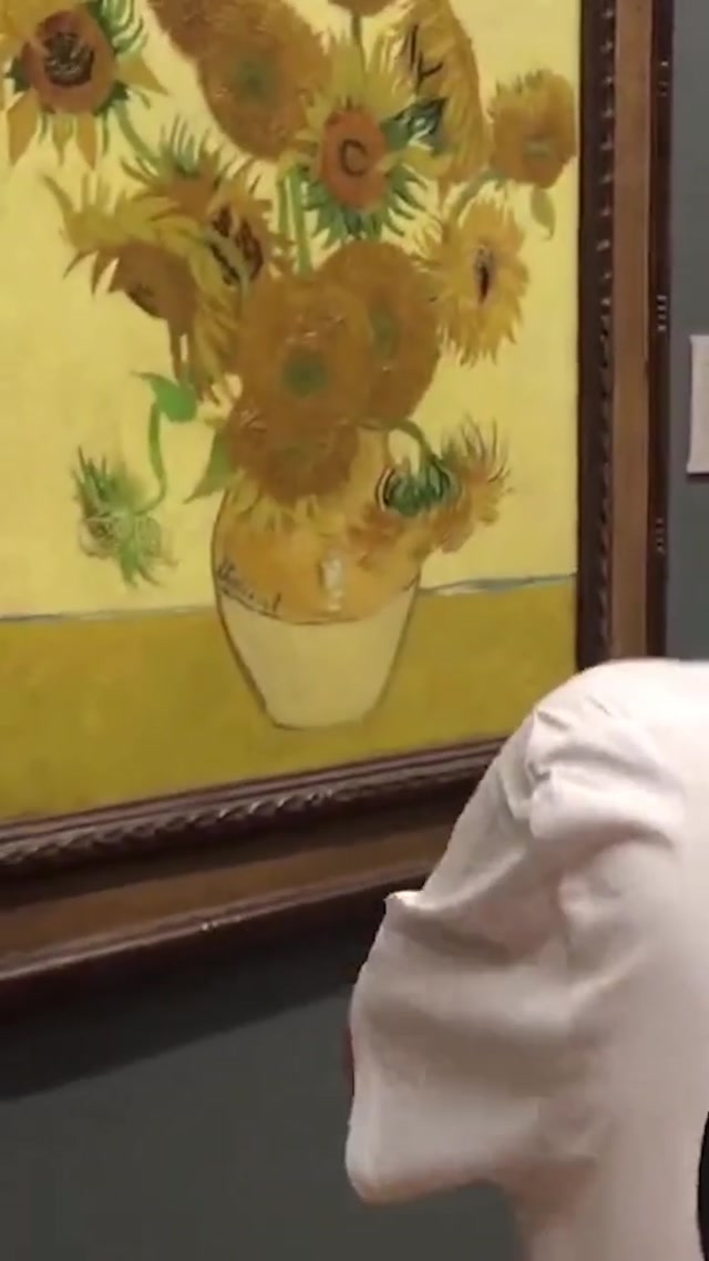 Protesters Throwing Tomato Soup On Van Gogh Painting meme template blank