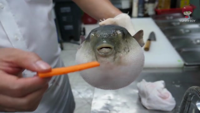 Pufferfish Eating Carrot meme template blank