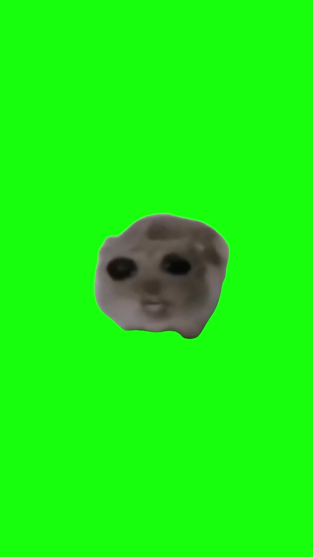 Sad Hamster Cotton Eye Joe meme template blank