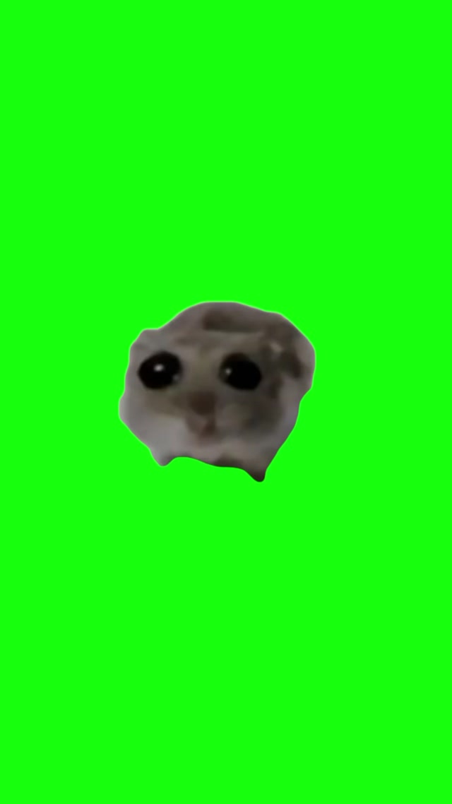 Sad Hamster Meme meme template blank