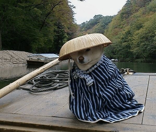 Samurai Dog on a Boat meme template blank - image format