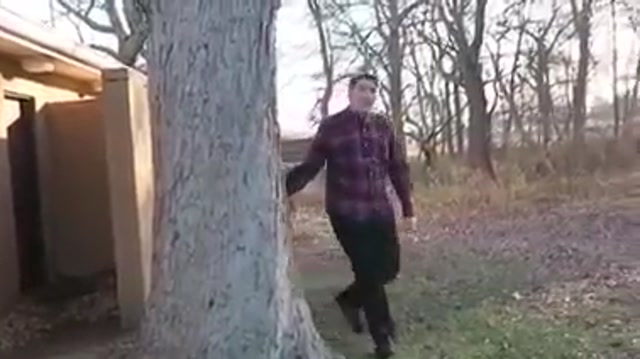 Scarce Tree Reveal meme template blank