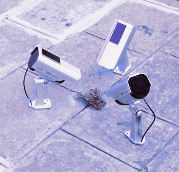Security Cameras Watching Grass meme template blank
