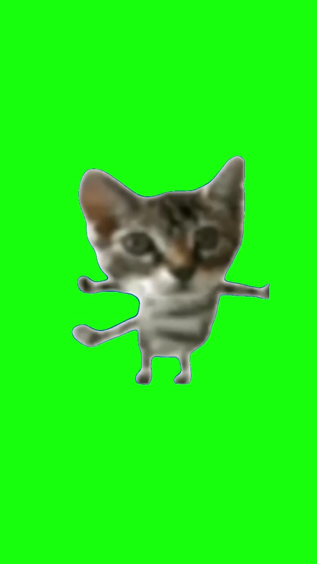 Silly Cat Dance meme template blank