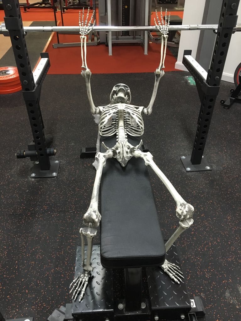 Skeleton on Bench Press meme template blank