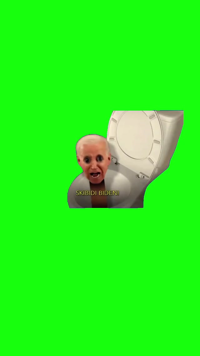 Skibidi Biden meme template blank