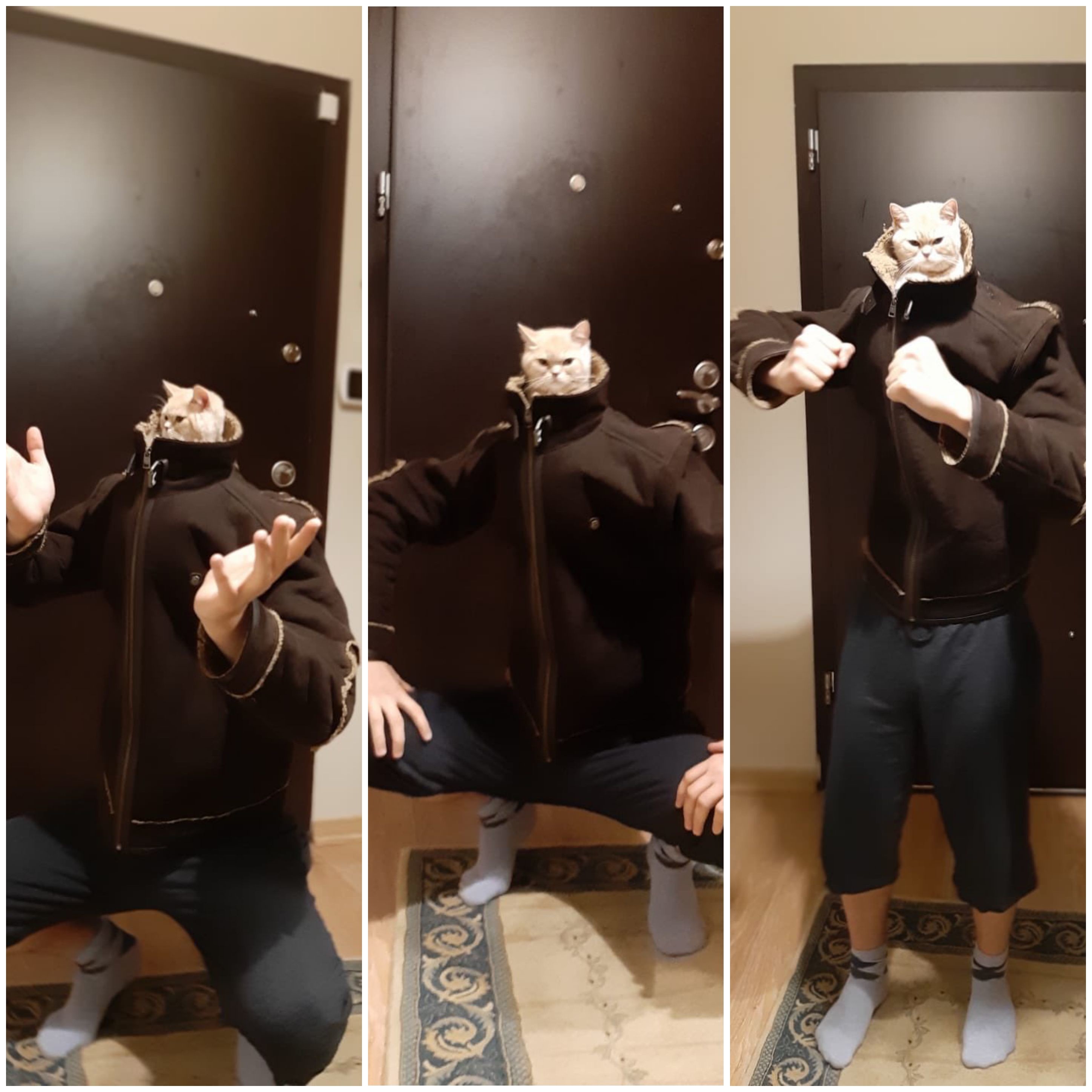 Slavic Battle Cat meme template blank - image format