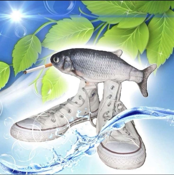 Smoking Fish on Sneakers meme template blank