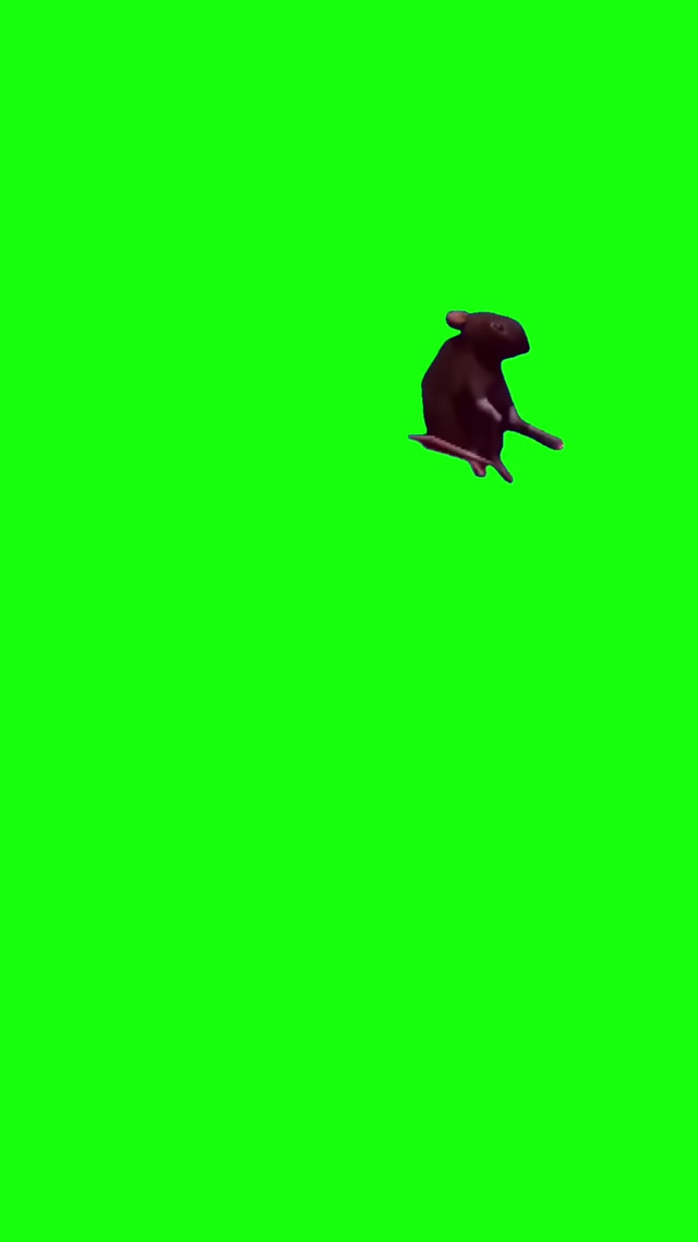 Smoking Rat meme template blank