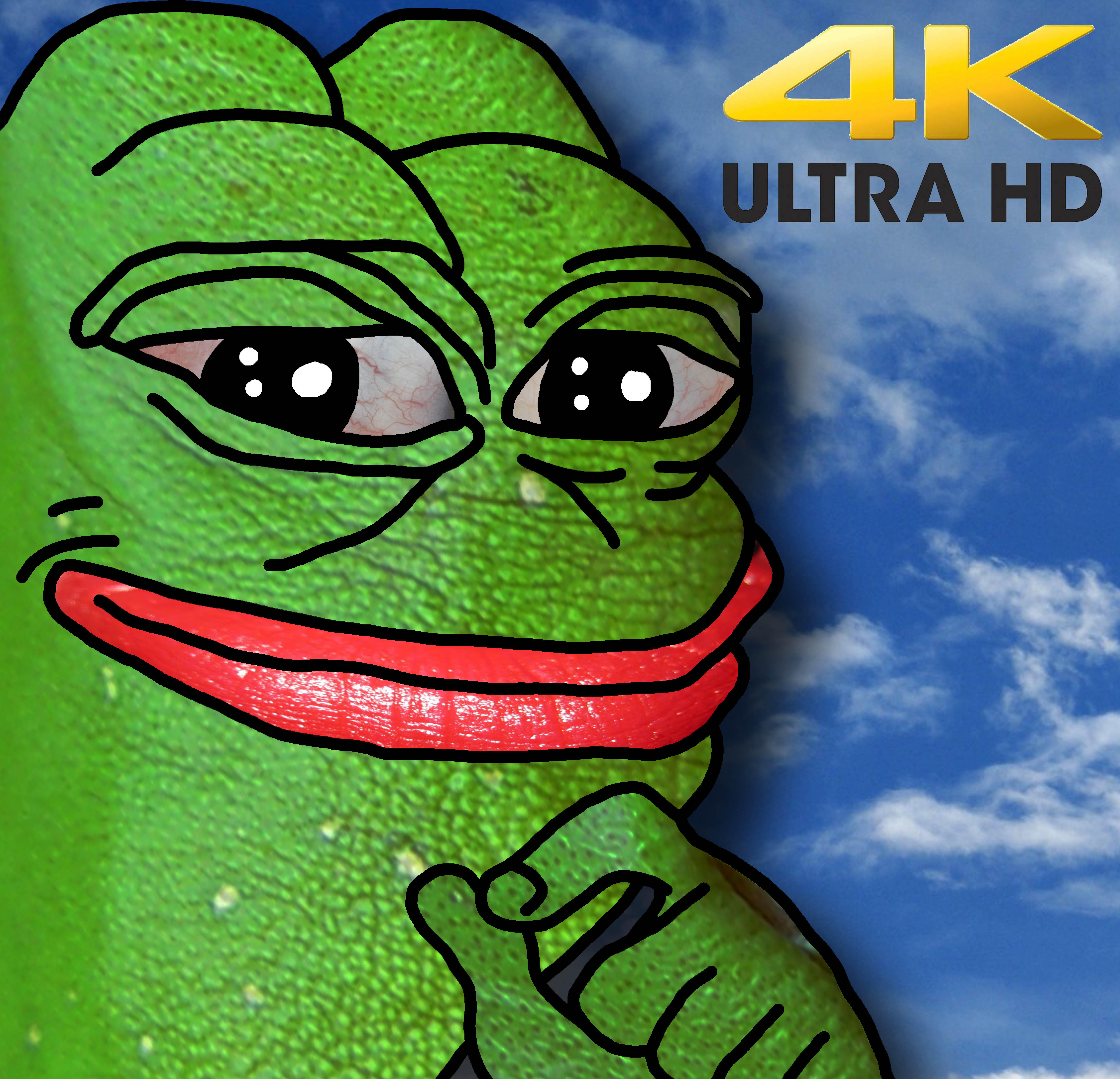Smug Pepe meme template blank - image format