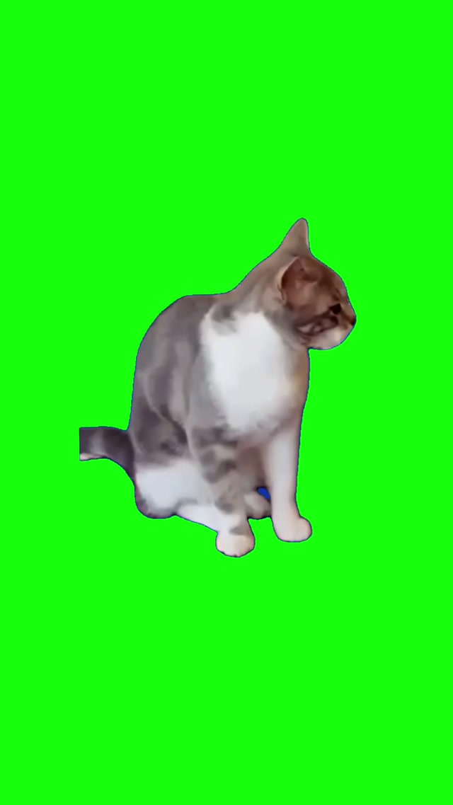 Sometimes I’m Alone – Cat Singing meme template blank