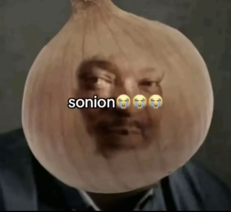 Sonion meme template blank