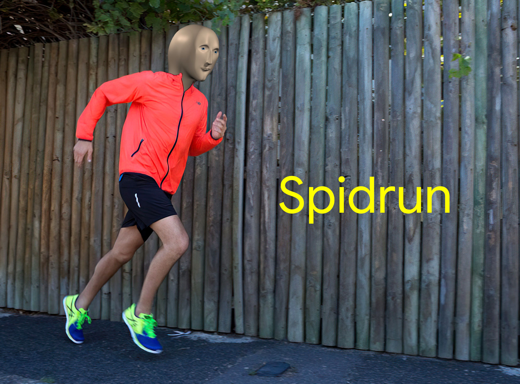 Spidrun meme template blank - image format